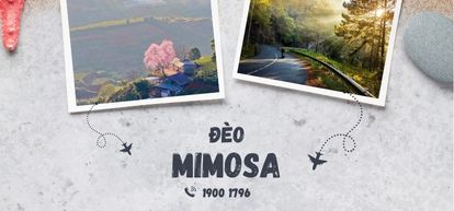 Đèo Mimosa
