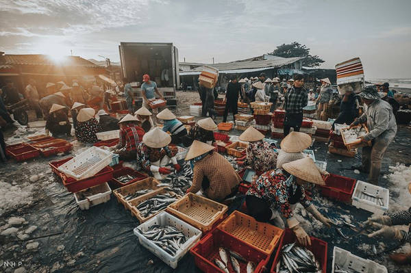 Chợ cá khô ở biển Bà Rịa - chợ hải sản Vũng Tàu