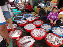 Chợ hải sản Vũng Tàu