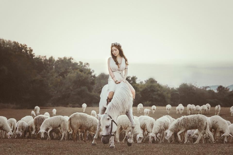 Cưỡi ngựa tại đồi cừu Vũng Tàu