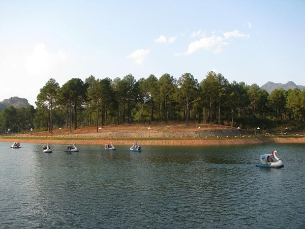 Rừng thông Bản Áng - Đạp vịt