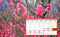 Lịch nghỉ Tết Nguyên Đán