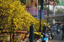 Vé máy bay Tết đi Sài Gòn 