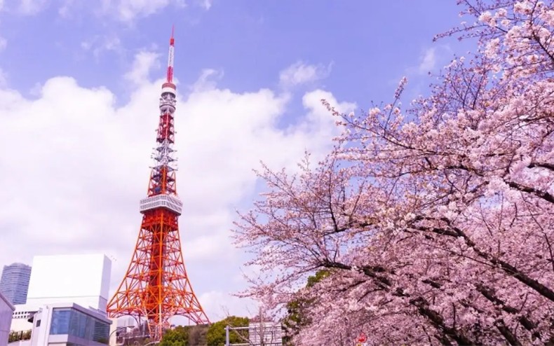 Tháp Tokyo - địa điểm nổi tiếng ở Nhật Bản