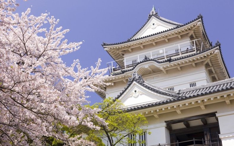 Lâu đài Odawara - mùa hoa anh đào Nhật Bản