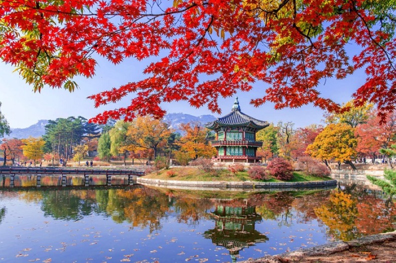 Cung điện Gyeongbok khi vào mùa thu Hàn Quốc