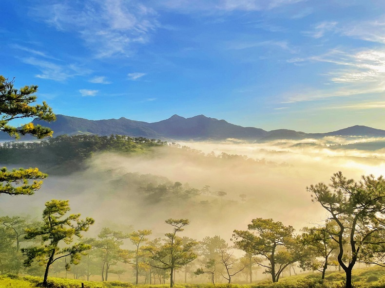 Thành phố sương mù Đà Lạt (Ảnh minh họa)
