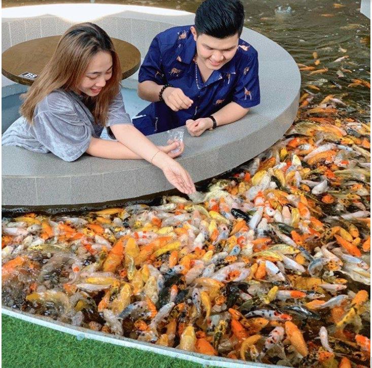 quán cafe cá Koi - Anna Koi Food & coffee