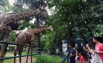 Sở thú ở Sài Gòn