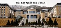 Đại học Busan 