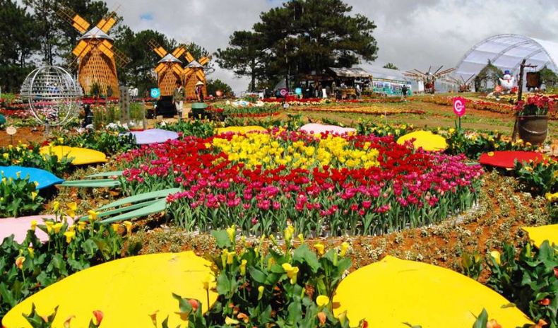 khám phá vườn hoa thành phố Đà Lạt