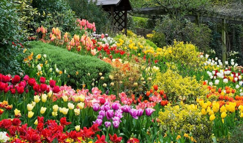 Hội hoa xuân - vườn hoa thành phố Đà Lạt