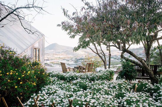 Khám phá tiệm cà phê Túi Mơ To