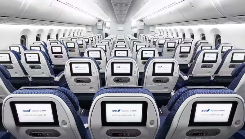 Hạng phổ thông - vé máy bay All Nippon Airways