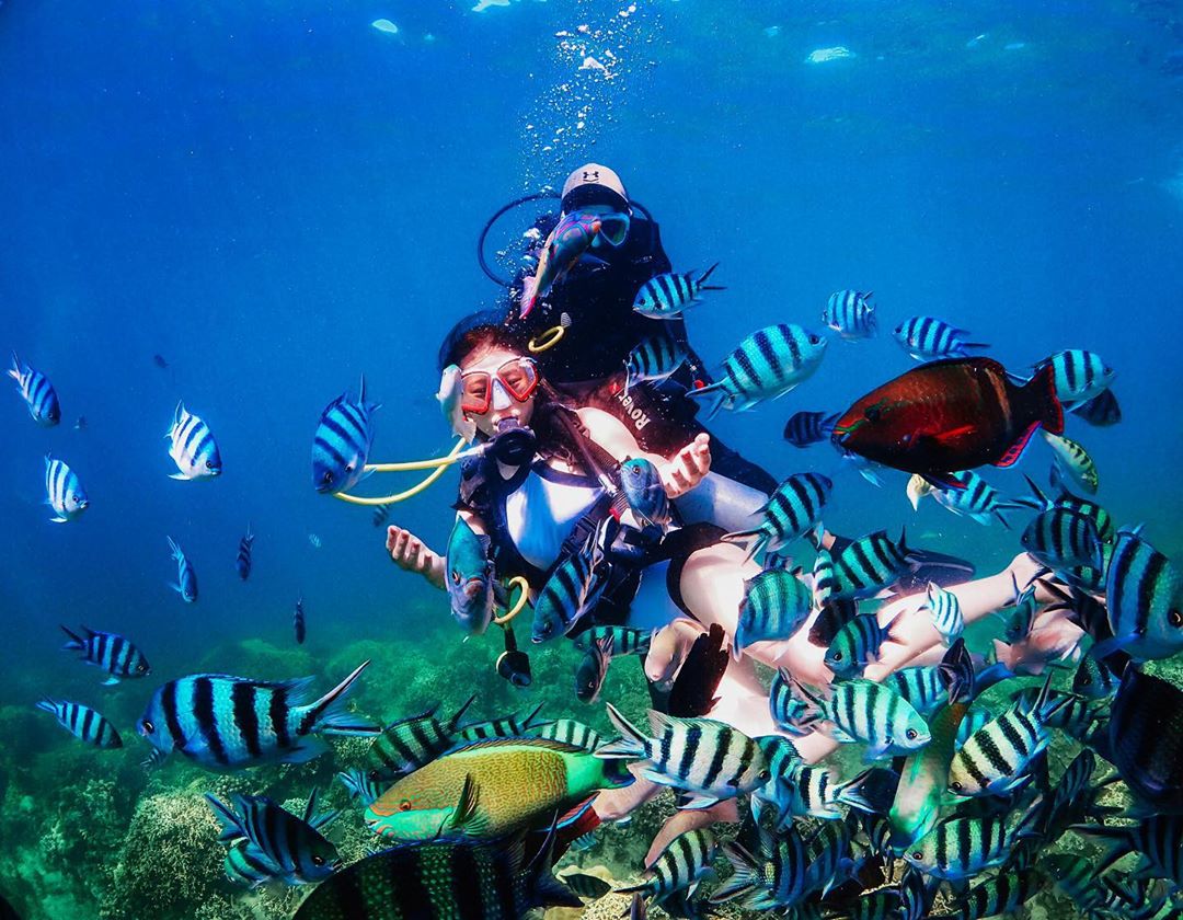Lặn biển Hòn Mun Nha Trang