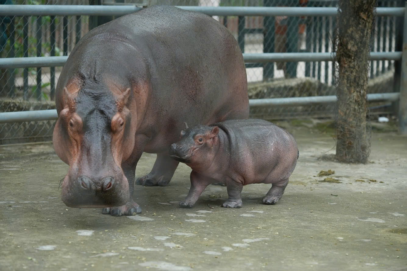 Công viên Thủ Lệ