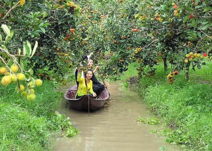 Du lịch gần Cần Thơ - Vĩnh Long