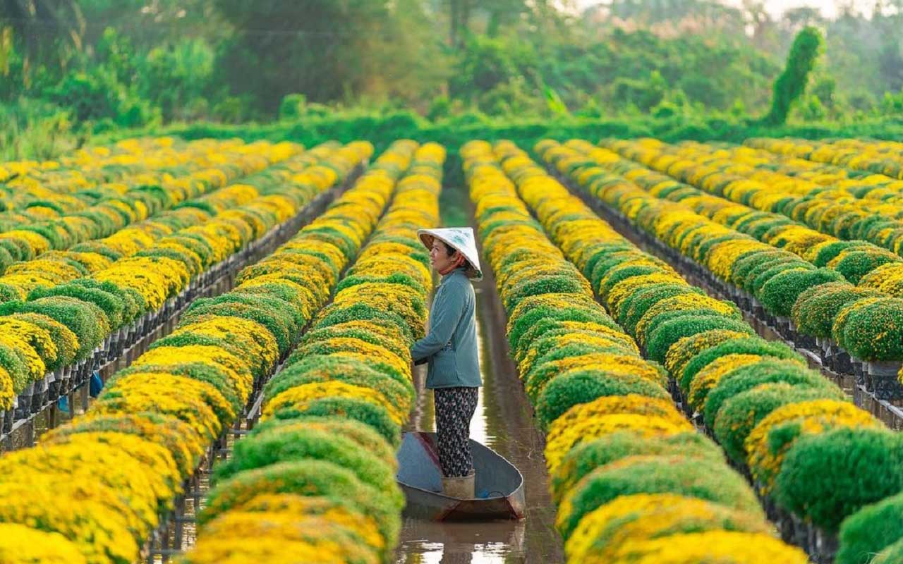Du lịch gần Cần Thơ - Đồng Tháp