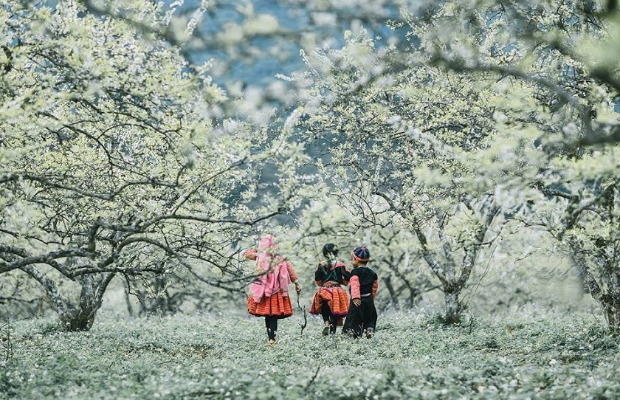 Mai Châu mùa nào đẹp