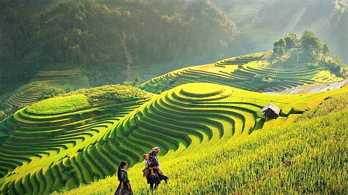 Bản Tả Van - du lịch Sapa