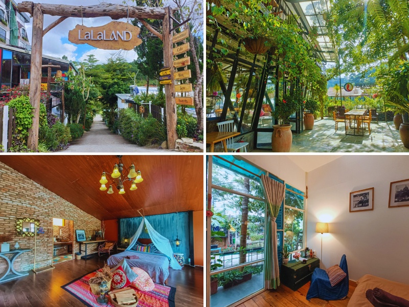 Lalaland Homestay Đà Lạt