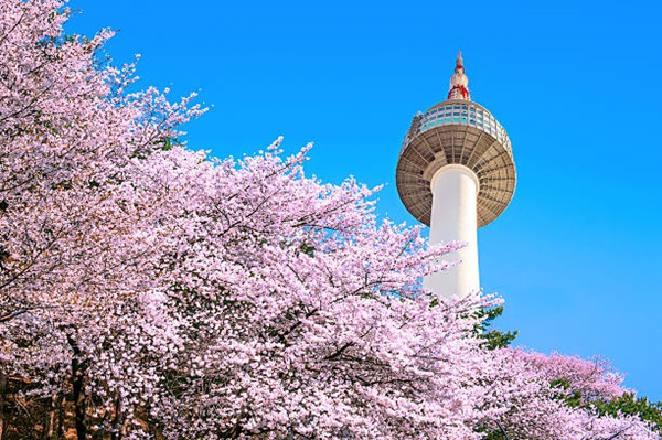Tháp Namsan - du lịch Hàn Quốc