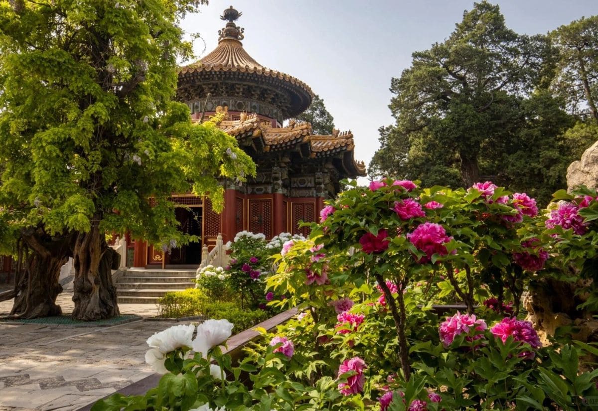 Thời gian lý tưởng tham quan Tử Cấm Thành