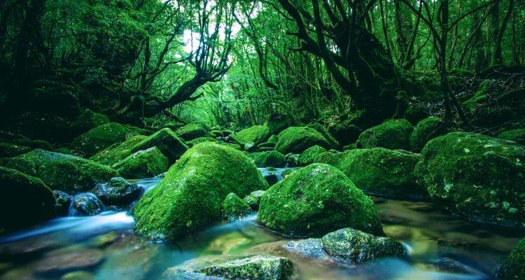 Du lịch Nhật Bản tháng 6