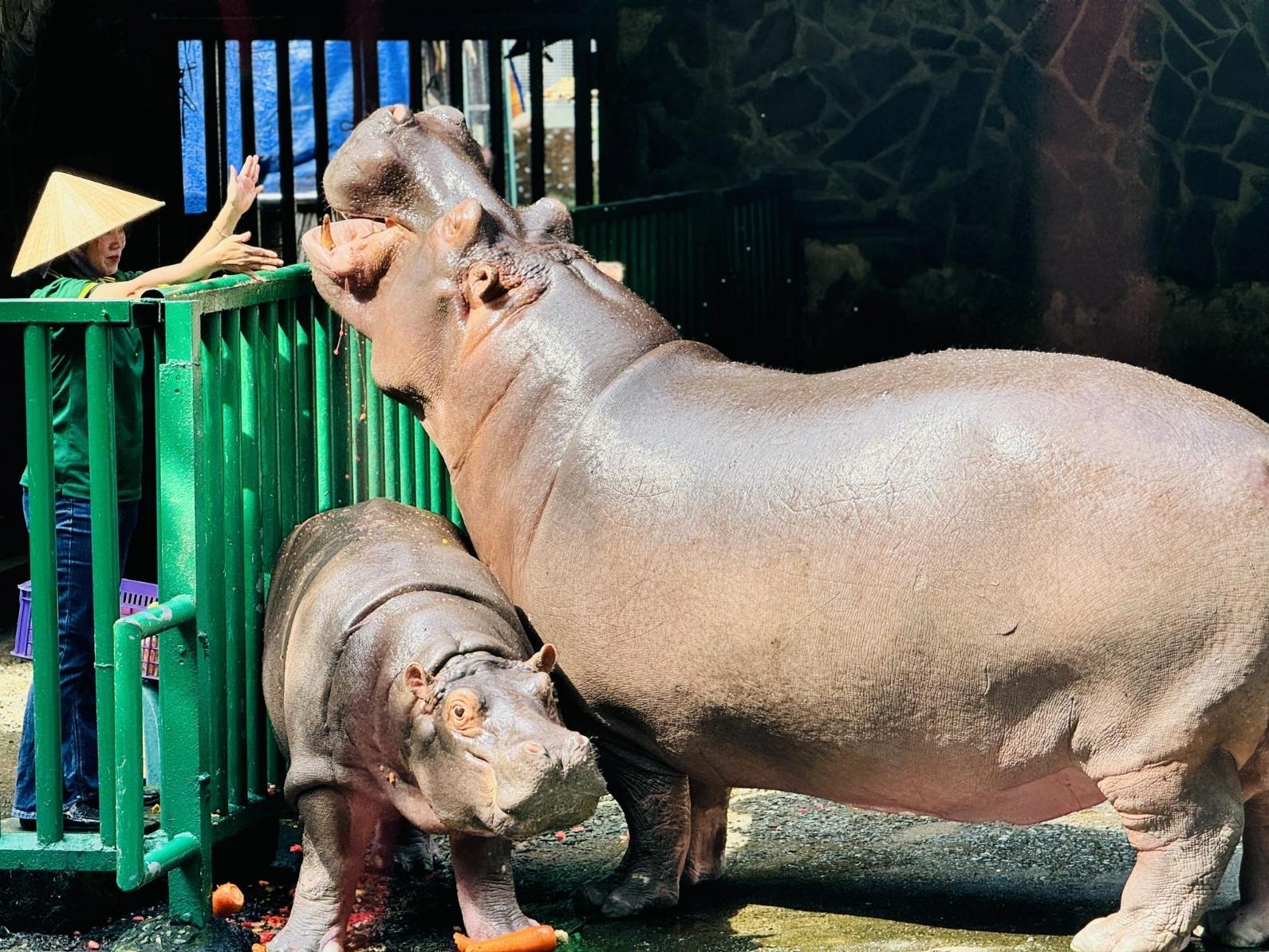 Thảo Cầm Viên có gì chơi?