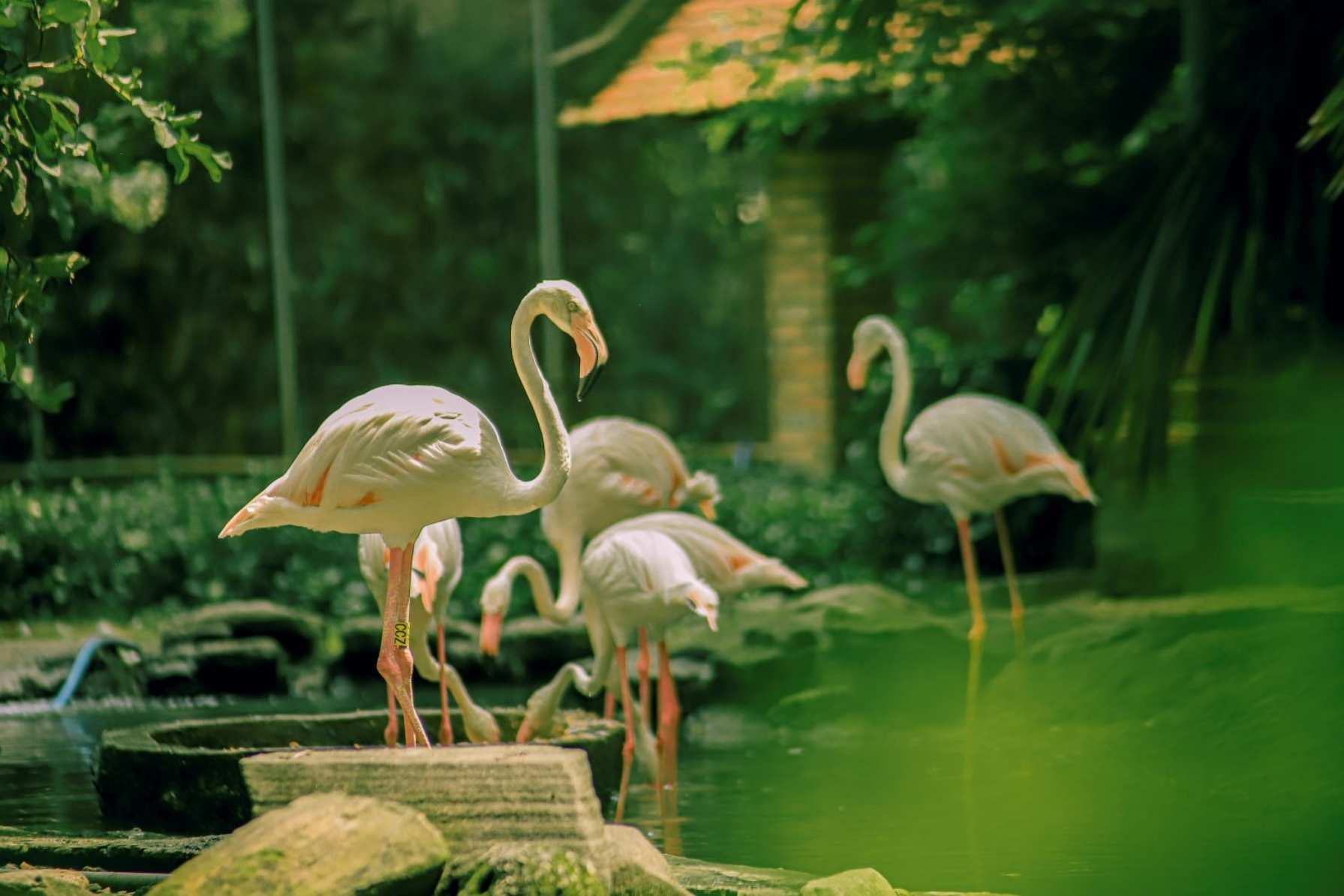 giá vé vào cổng Thảo Cầm Viên