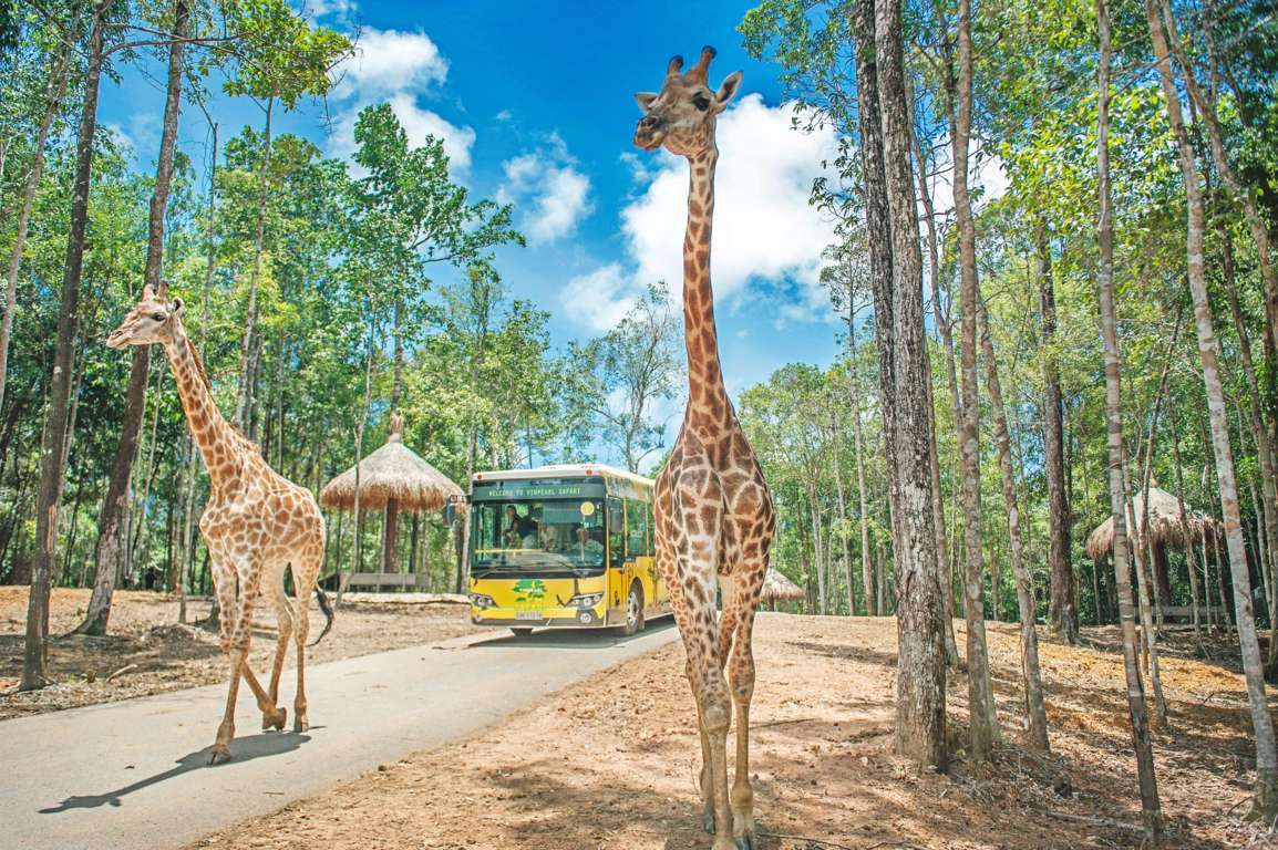 Vinpearl Safari Phú Quốc - vé máy bay Hải Phòng đi Phú Quốc