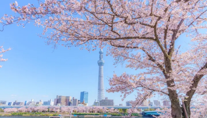 Tokyo - vé máy bay Valentine