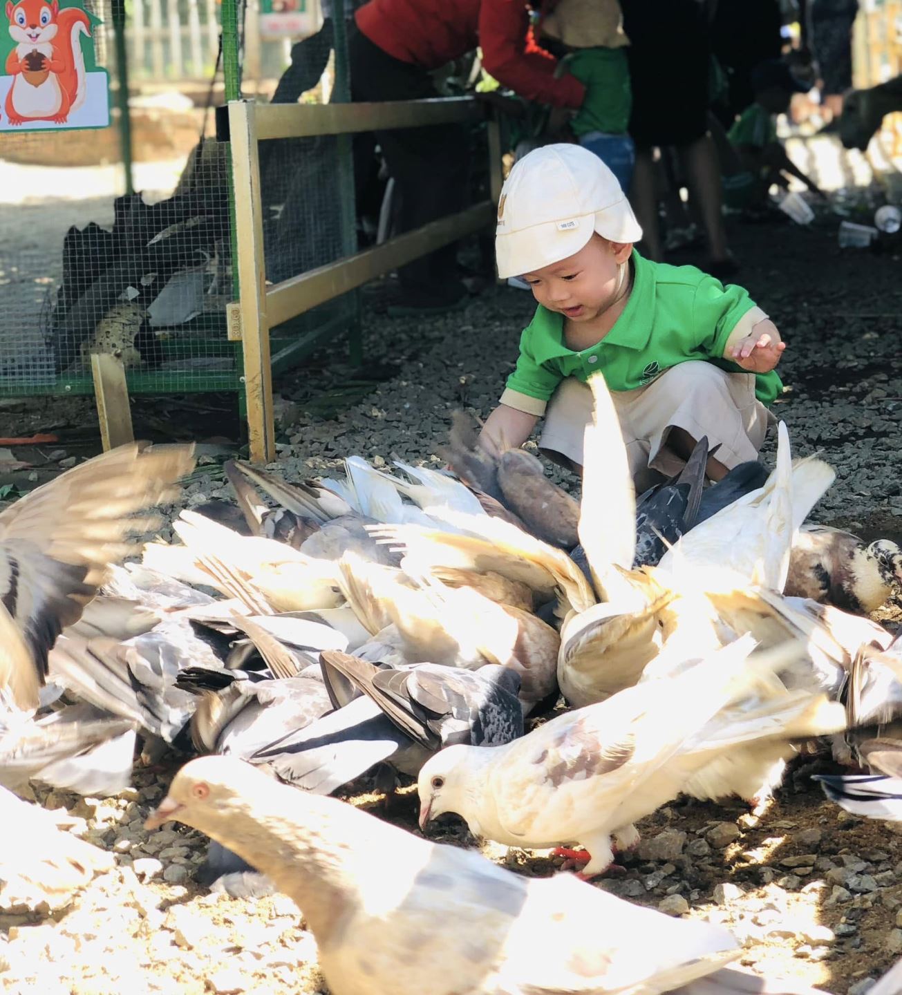 Baby Farm Đà Nẵng