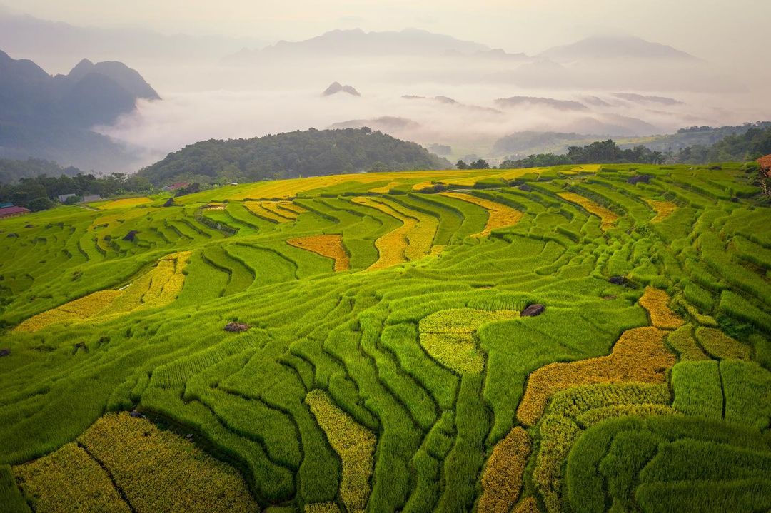 Thung lũng Mai Châu - du lịch Hòa Bình