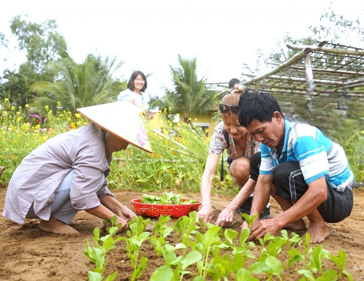 Làng rau Trà Quế - du lịch Hội An