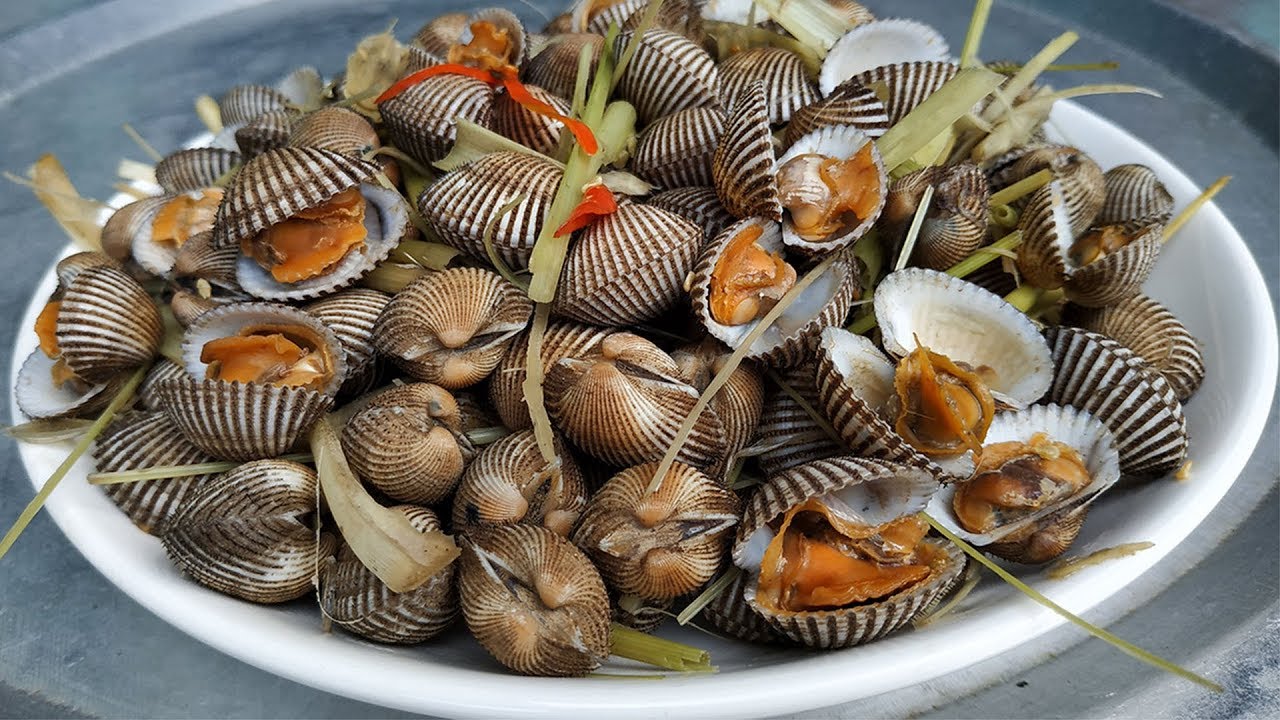 Sò huyết Thủy Triều - du lịch Khánh Hòa