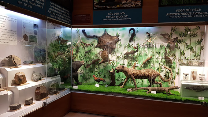 Bảo tàng Cúc Phương