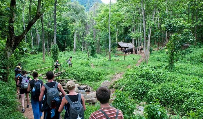 Tour thưởng ngoạn thiên nhiên - vườn quốc gia cúc phương