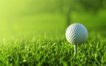 인기 골프장 가격표