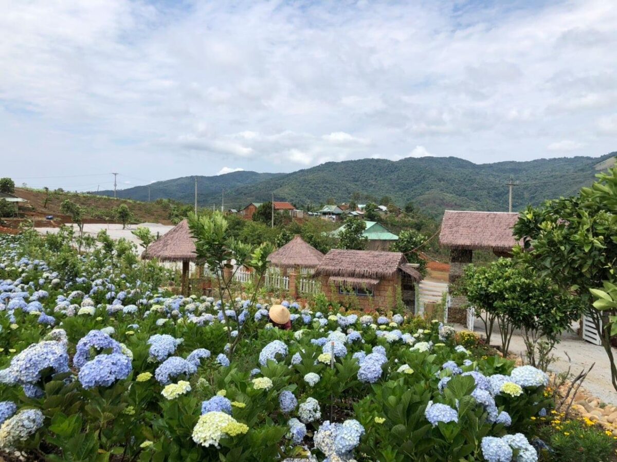 Ê Ban Farm - Măng Đen