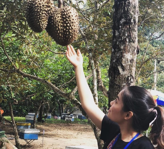 Vườn trái cây Đồng Nai - Út Tiêu