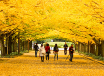 Tấp nập đặt vé máy bay Chu Lai đi Nga tháng 12