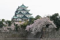 Đặt vé máy bay từ Hồ Chí Minh đi Nagoya giá rẻ