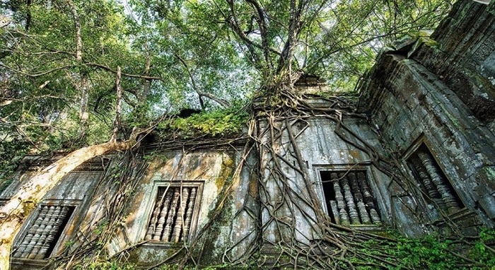 Vẻ đẹp khó cưỡng của những bức tường bị thiên nhiên xâm lấn