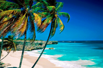 Giá vé máy bay từ Đà Lạt đi Nha Trang