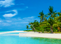 Khuyến mãi cực sốc giá vé máy bay Hà Nội đi Cebu