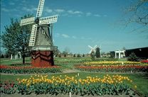 Giá vé từ Hà Nội đi Hà Lan tốt nhất tháng 7