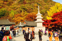 Săn vé máy bay khứ hồi từ Điện Biên đi Hàn Quốc