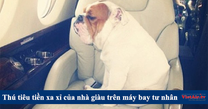 Cực sốc với thú tiêu tiền hoang phí của giới nhà giàu trên máy bay tư nhân