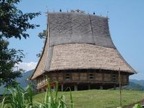 Vé máy bay Hồ Chí Minh đi Buôn Ma Thuột